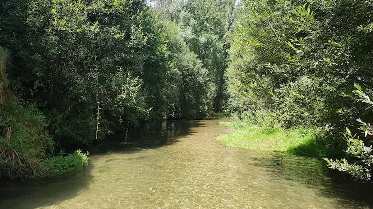 Pequeño riachuelo con aguas cristalinas donde también es posible bañarse en la Fuente de la Salud.