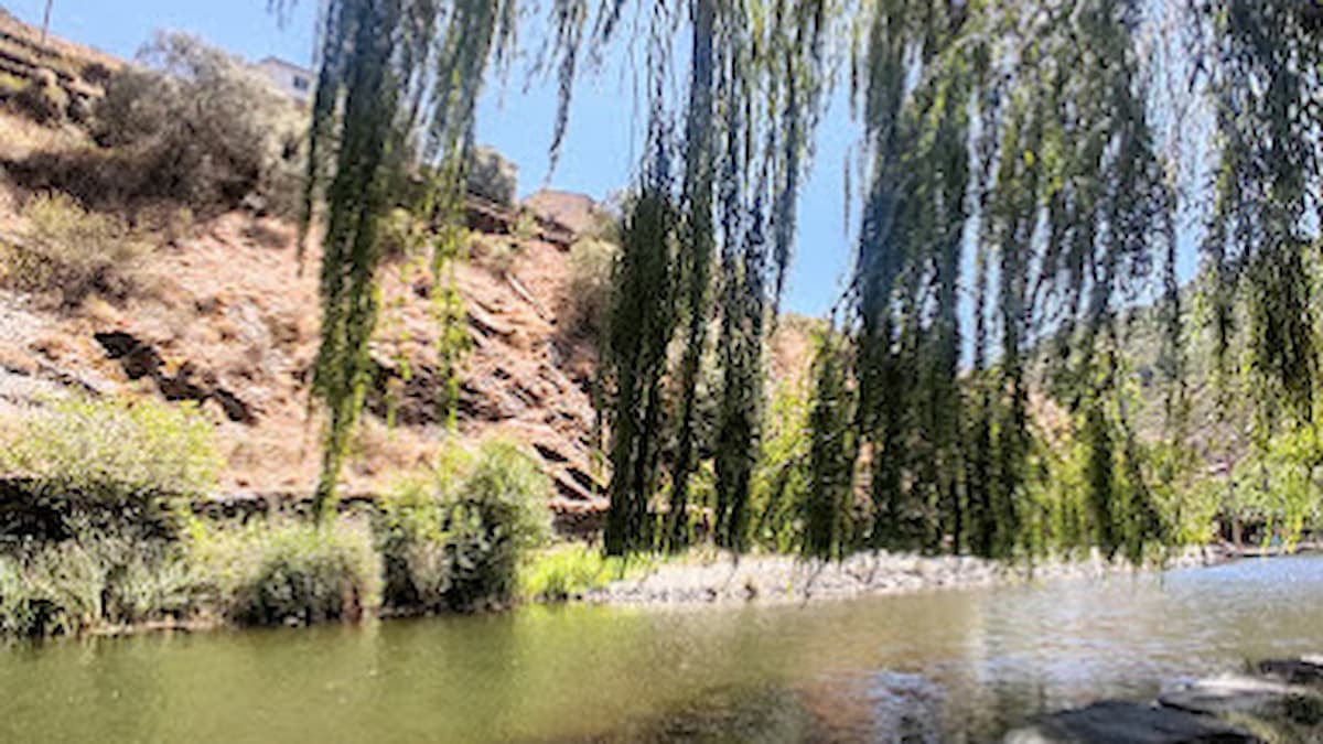Río con agua clara y árboles proporcionando sombra en la piscina natural de Valero.