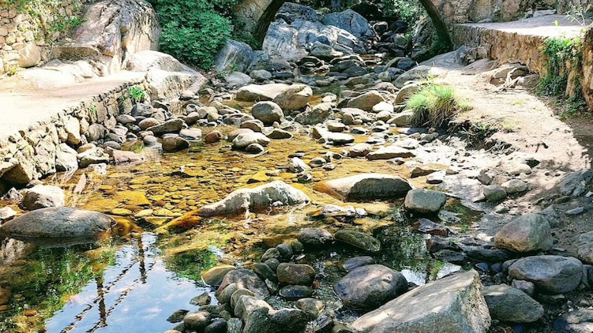 Pequeño riachuelo con un puente de piedra rodeado de árboles y vegetación.