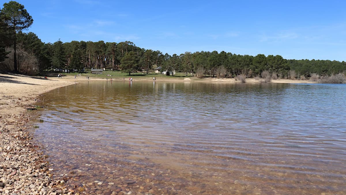 Playa Pita con aguas cristalinas y pinos en el fondo, perfecta para el baño y la recreación.