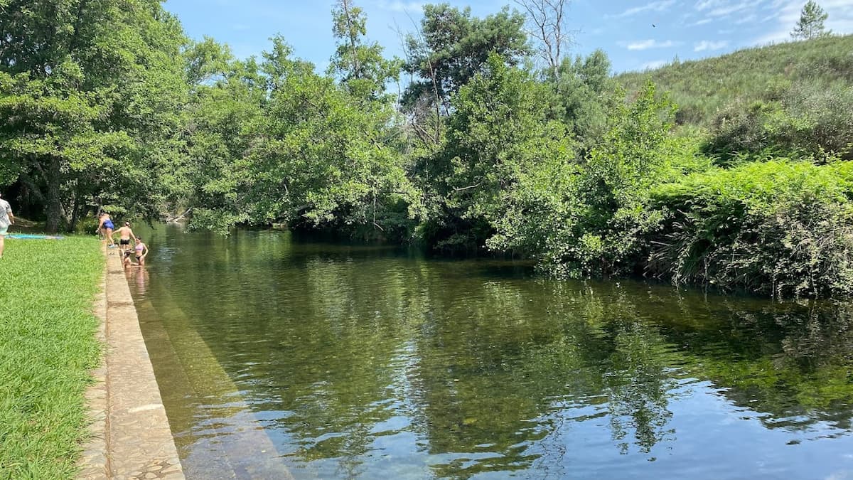 Río rodeado de vegetación con agua cristalina.