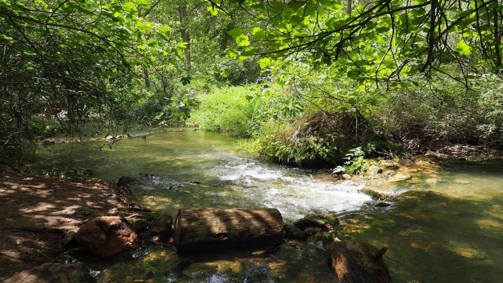 El río que fluye hacia el Charco del Aceite, formando pequeñas cascadas en su recorrido.